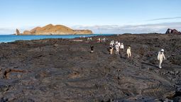 El número de turistas en Galápagos se redujo en el 2024 frente al 2023. 