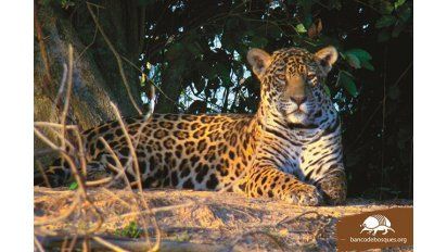 Los 10 destinos para viajar en 2015