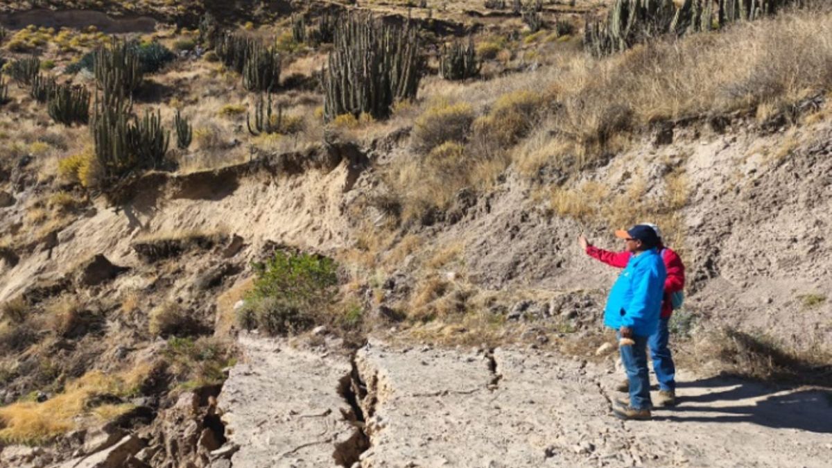 Arequipa: nueva vía alterna para visitar el Mirador de la Cruz del Cóndor estaría lista para continuar con las actividades turísticas.