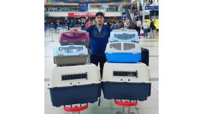 PET WORLD TRAVEL. Una opción ideal para no desprenderte de tu mascota