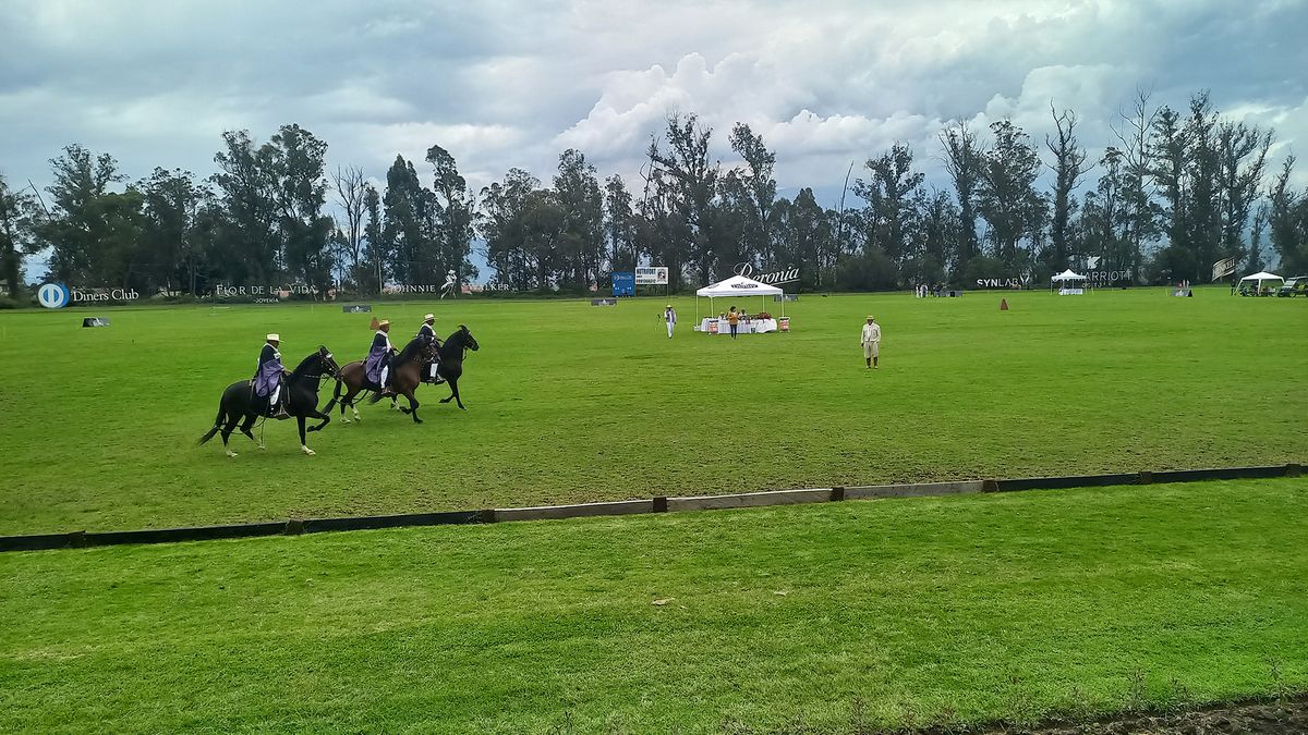 Imágenes del VIII Concurso de los Valles del Caballo Peruano de Paso, evento que apoya PromPerú.
