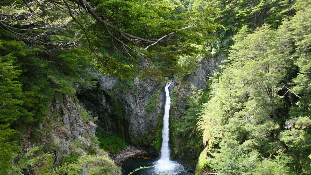 El río Bonito es ideal para disfrutar de paseos en familia. 