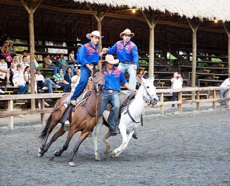 El espectáculo acrobático con caballos en Panaca es un atractivo único en Colombia.