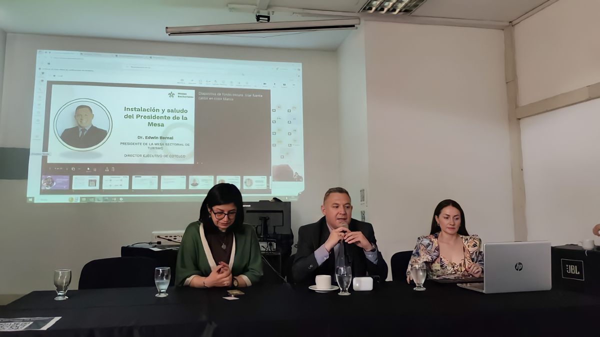 La nueva instancia de representación de la Mesa Sectorial de Turismo integra a gremios del turismo y a distintos eslabones de la industria nacional. &nbsp;