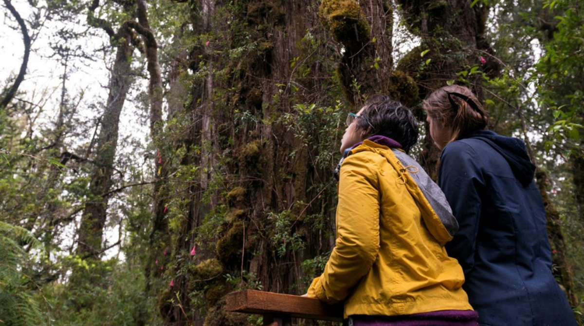 Chile fue galardonado por cuarta vez como Mejor Destino Verde del planeta. - Ladevi Medios y Soluciones Chile fue galardonado por cuarta vez como Mejor Destino Verde del planeta.
