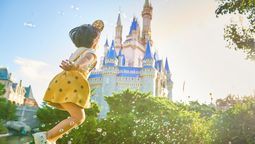 Viajes a Disney: las autoridades del Aeropuerto Internacional de Orlando expresaron su interés de retomar la conexión entre la ciudad estadounidense y Buenos Aires.&nbsp;