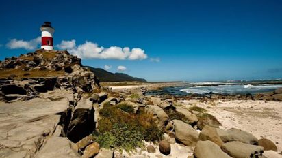 La Isla Mocha: un tesoro escondido en la costa del sur de Chile