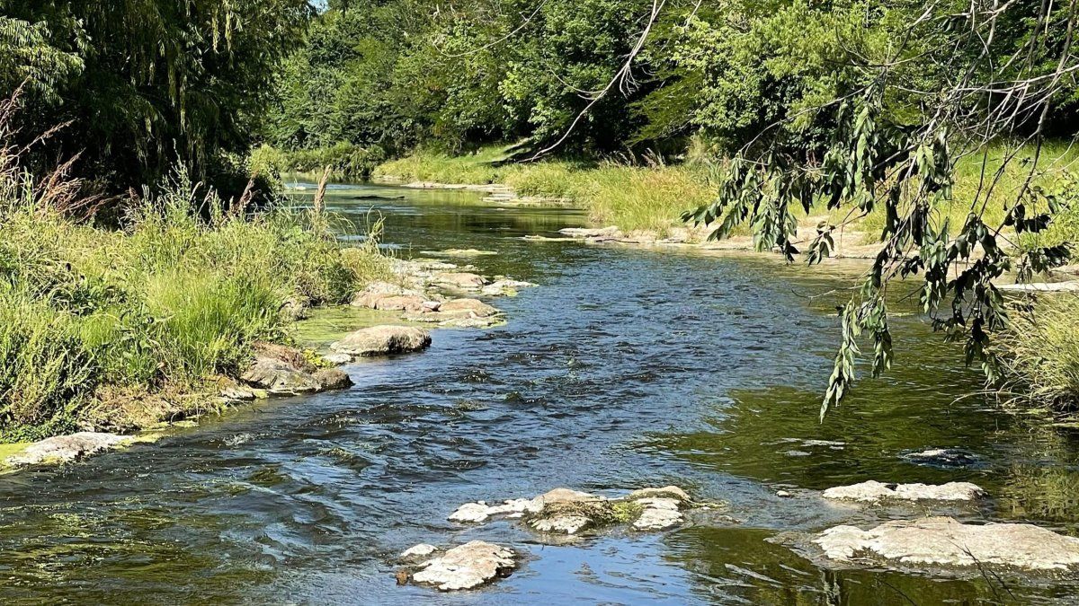 Descubrí una reserva natural gratis, cercana a Buenos Aires e ideal para este verano 2025.&nbsp;