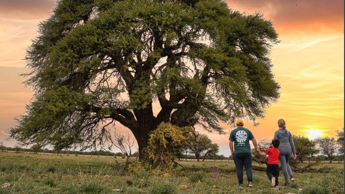 La Pampa ofrece desde fiestas populares y espacios verdes ideales para relajarse, hasta museos, paseos históricos y propuestas para el turismo activo.