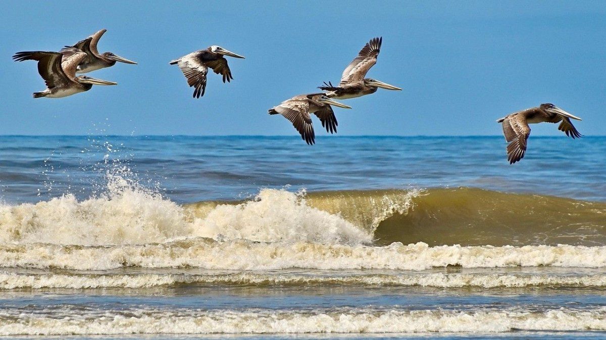 Vacaciones en Buenos Aires: en invierno el balneario Marisol muestra su faceta más ageste y apacible. Vacaciones en Buenos Aires: en invierno el balneario Marisol muestra su faceta más ageste y apacible.