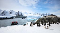Deluxe Reps trabaja junto a Silversea con expediciones de lujo hacia destinos remotos como la Antártida, el Ártico y Galápagos. &nbsp;