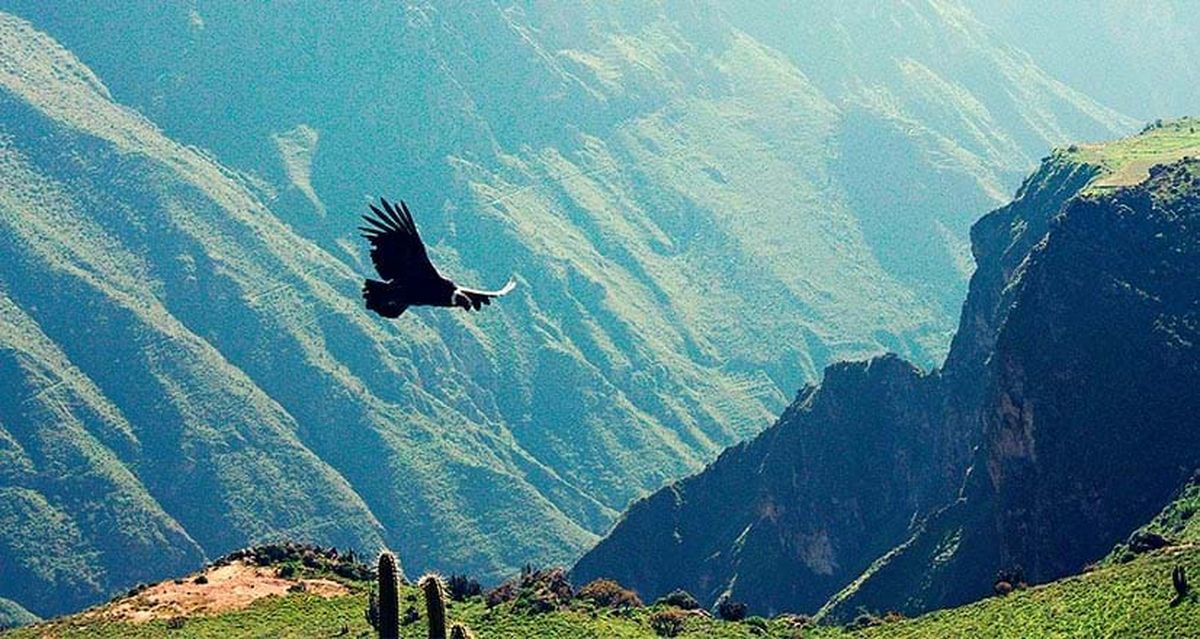 El valle del Colca tuvo una caída de visitas en 2023. - Ladevi Medios y Soluciones El valle del Colca tuvo una caída de visitas en 2023.