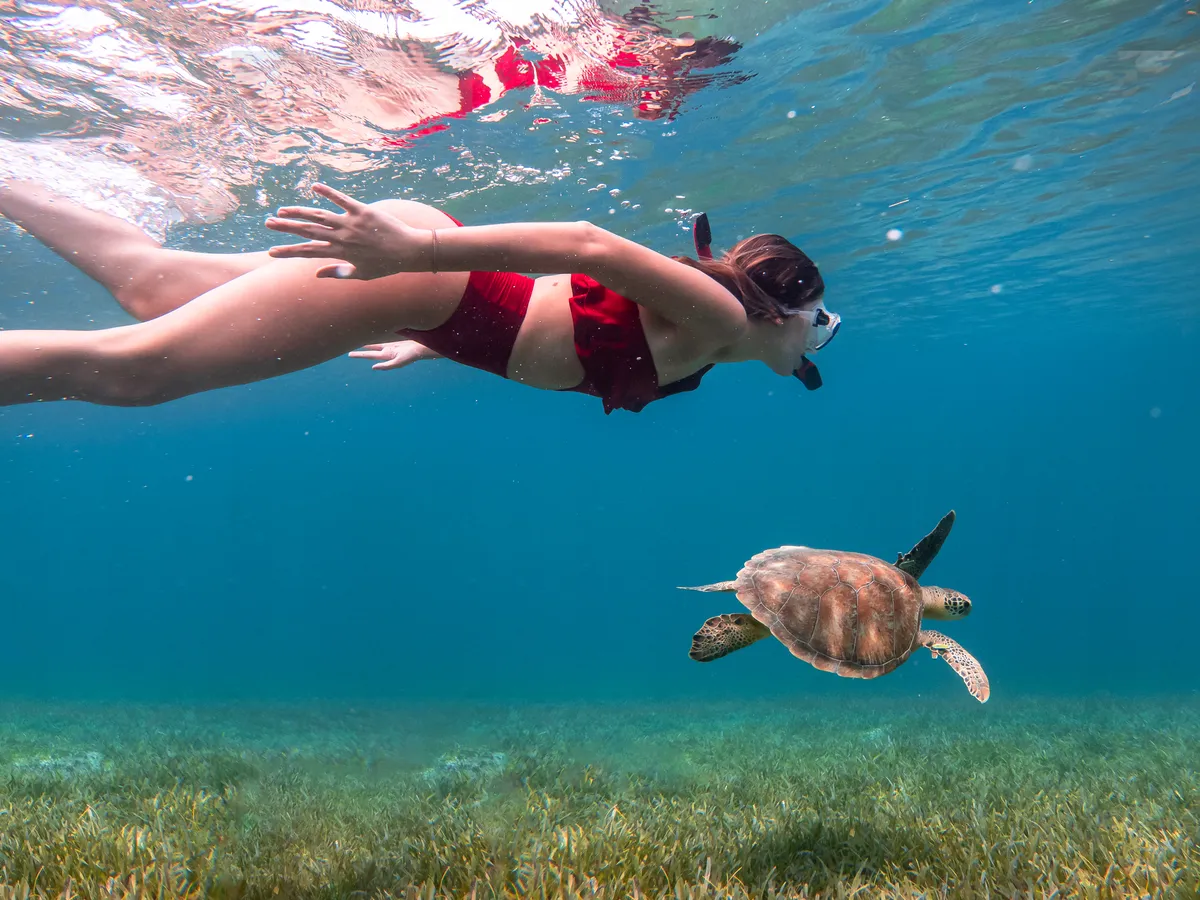 El buceo es una opción muy demandada por los turistas.