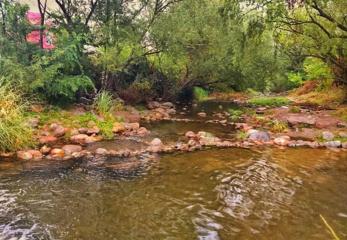 El bosque nativo de Potrero de los Funes es uno de los lugares más tranquilos para pasar el día.