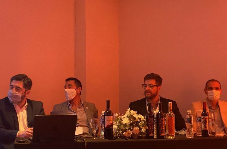 Expertos del vino ponderaron la importancia del enoturismo y pusieron el foco en la amplia diversidad con la que cuenta el país.