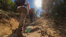 Nueva medida anunciada por Conaf ya está disponible a través del sitio Pasesparques.cl