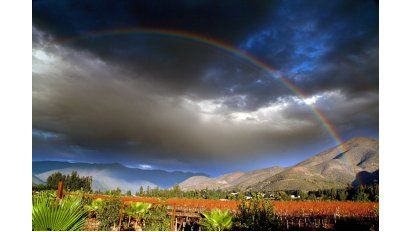 Valle de Vicuña. Valle de Vicuña.