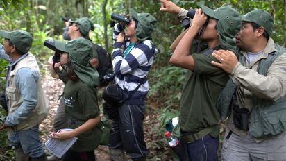 Perú se consolida como el mejor destino para realizar avistamiento de aves.