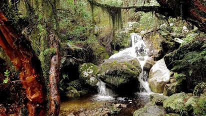 Escapadas a Córdoba: el mágico bosque del Señor de los Anillos oculto entre las sierras