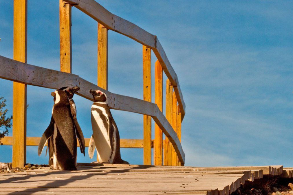 Trelew, pasado ancestral y tradición galesa