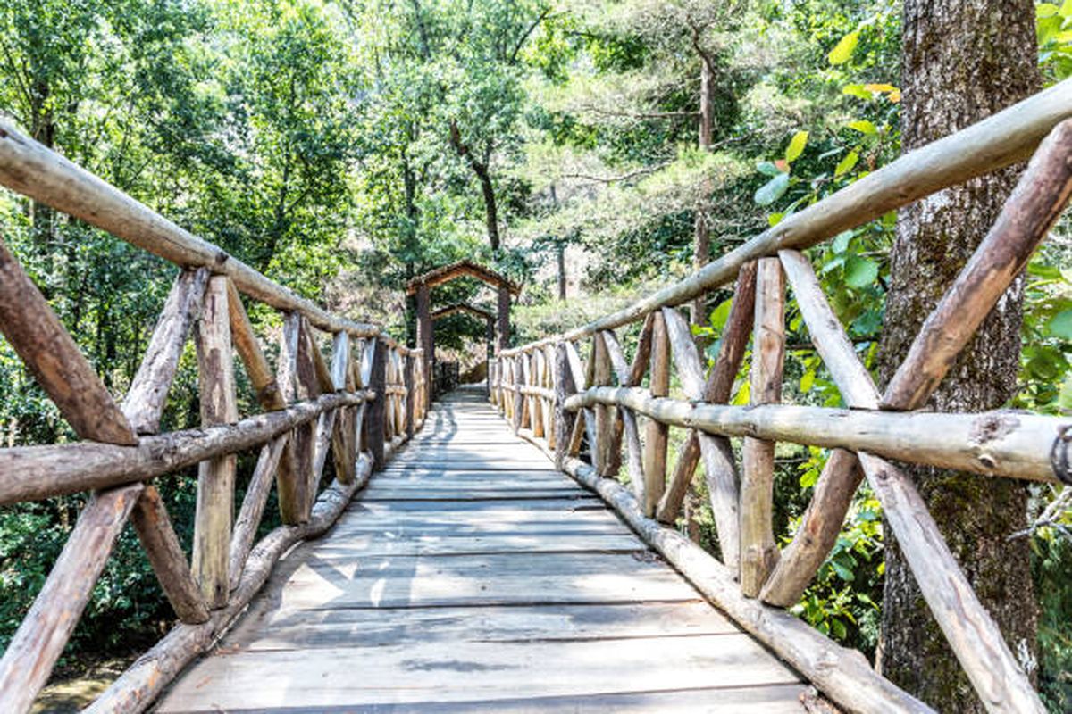 Uno de los aspectos más destacados de Sierra del Tigre es su compromiso con la conservación y el ecoturismo sostenible.&nbsp;