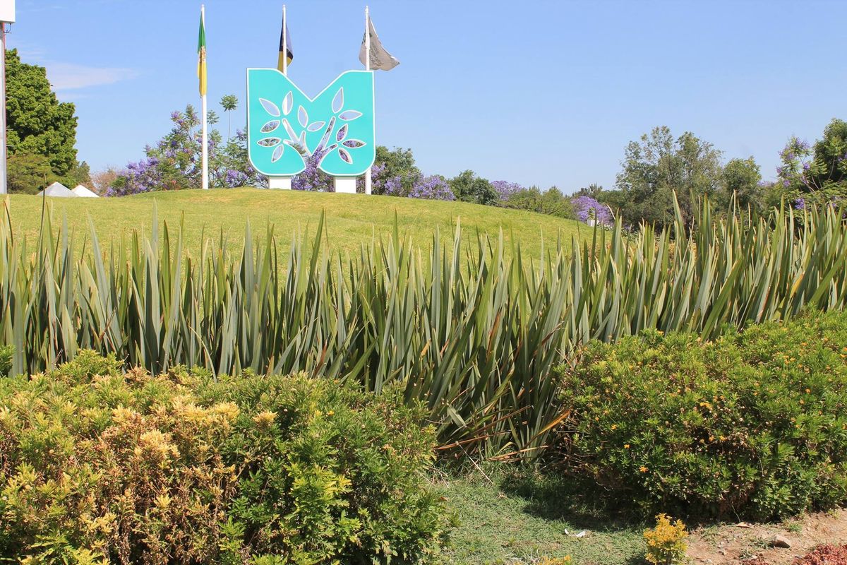 El Parque Metropolitano es de los espacios más bonitos de la ciudad.