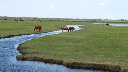 Alvear es un pueblo muy particular de Buenos Aires.
