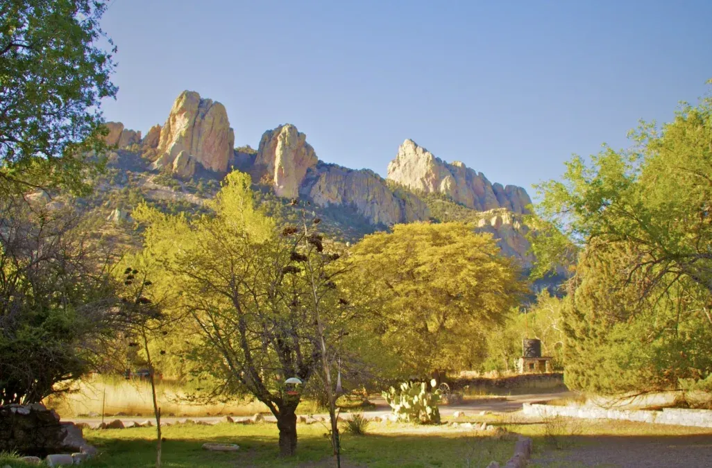 En el Cañón de Cave Creek, en Arizona, los acantilados se pintan de dorado y ocre con la llegada del otoño. En el Cañón de Cave Creek, en Arizona, los acantilados se pintan de dorado y ocre con la llegada del otoño.