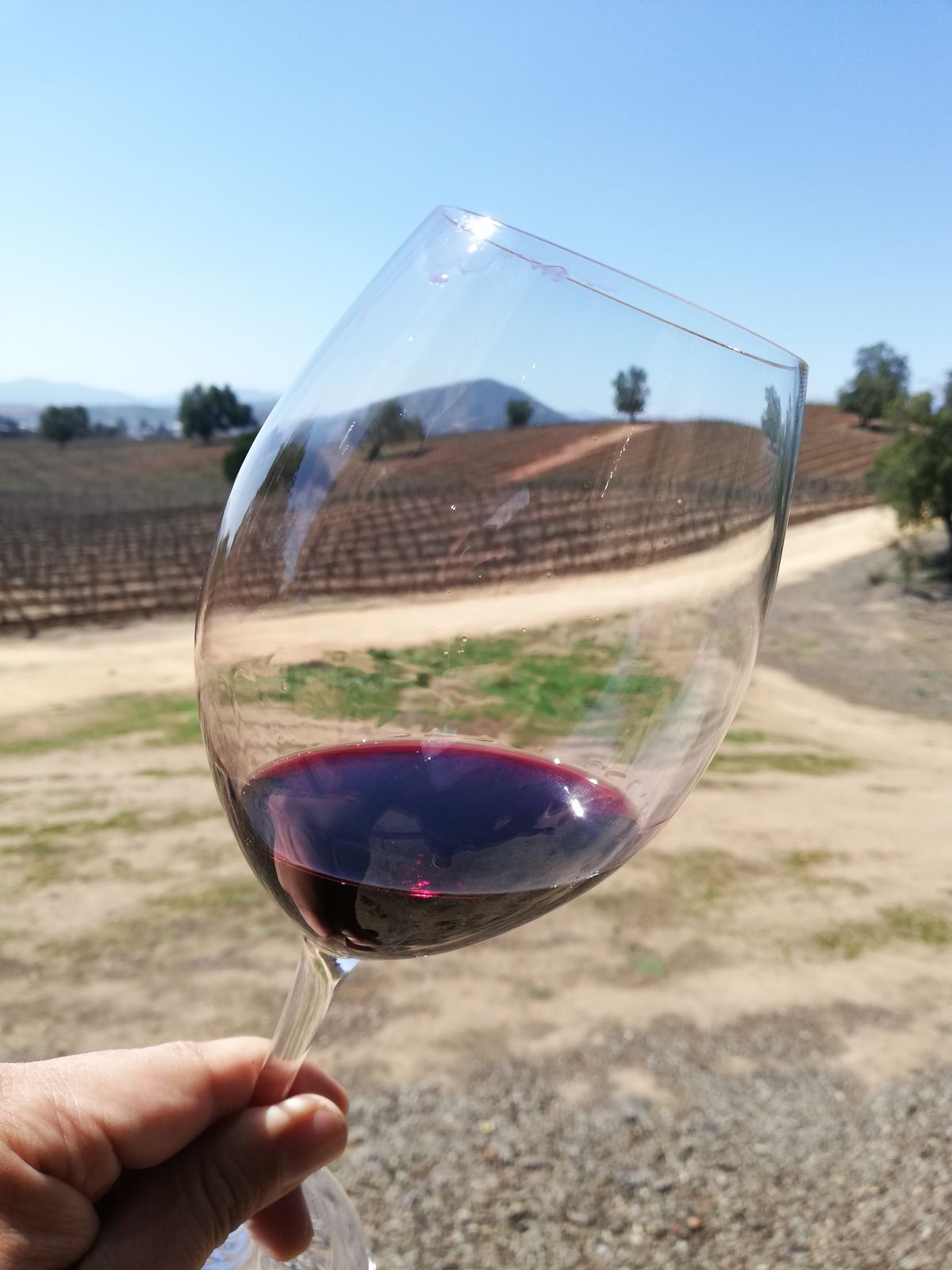 El enoturismo es uno de los sectores con mayor crecimiento a nivel mundial.