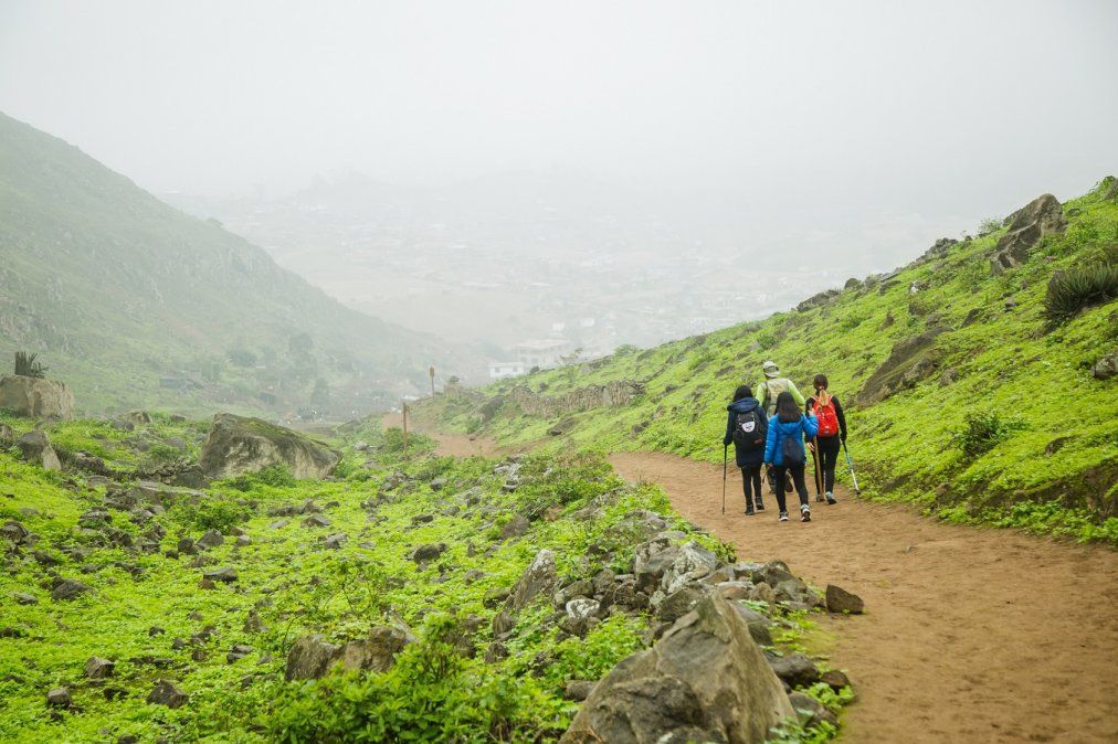 Lomas de Lúcumo, Pachacamac. - Ladevi Medios y Soluciones Lomas de Lúcumo, Pachacamac.