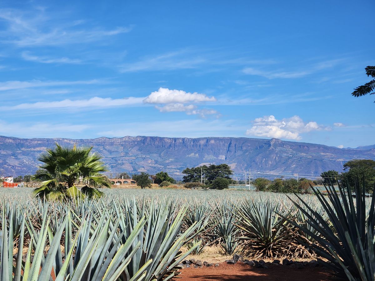 México 6 planes imperdibles en Guadalajara