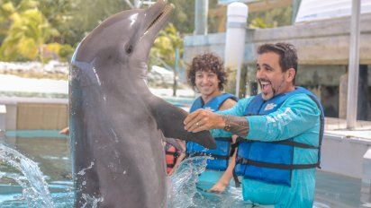 BLUE LAGOON ISLAND. Encuentros con delfines en Bahamas