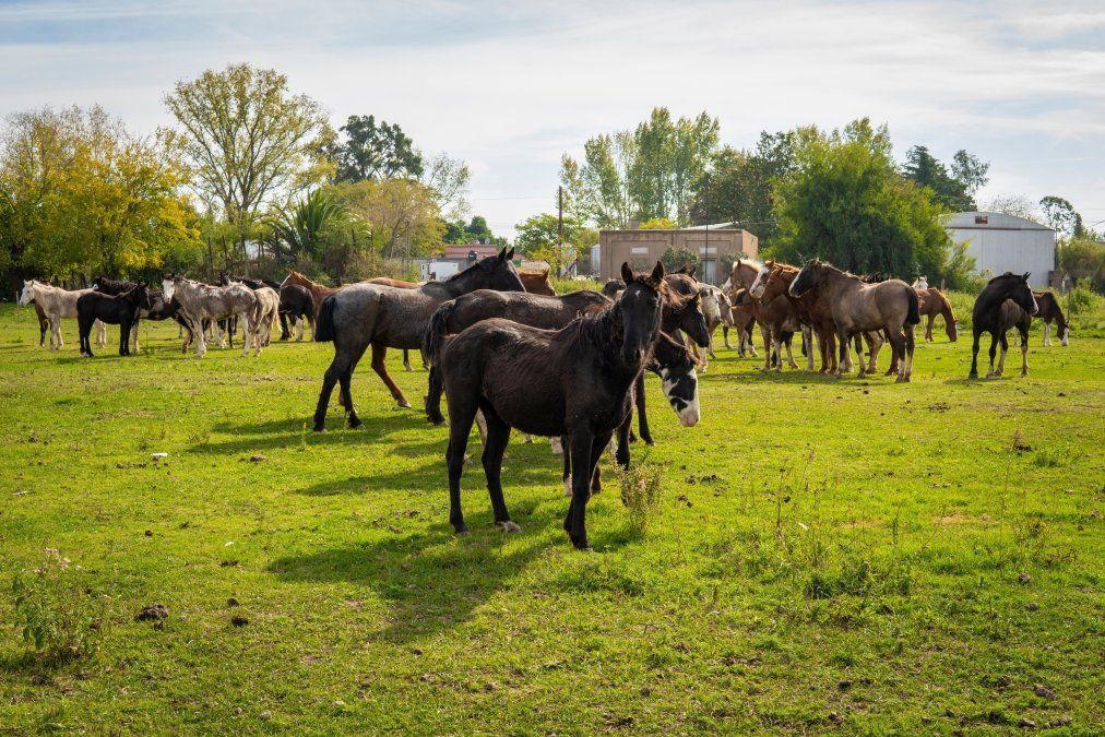 Te contamos qué hacer en Villa Ruiz para que aproveches al máximo tu visita.