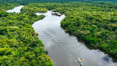 El amazonas peruana ofrece una experiencia inmersiva entre ríos, selva y biodiversidad.