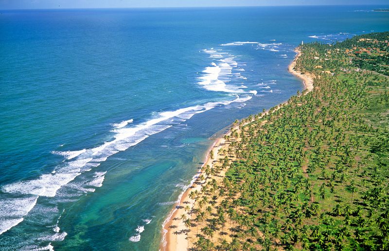 Las grandes extensiones de palmeras caracterizan al litoral norte de Salvador, donde ese encuentra Praia do Forte.