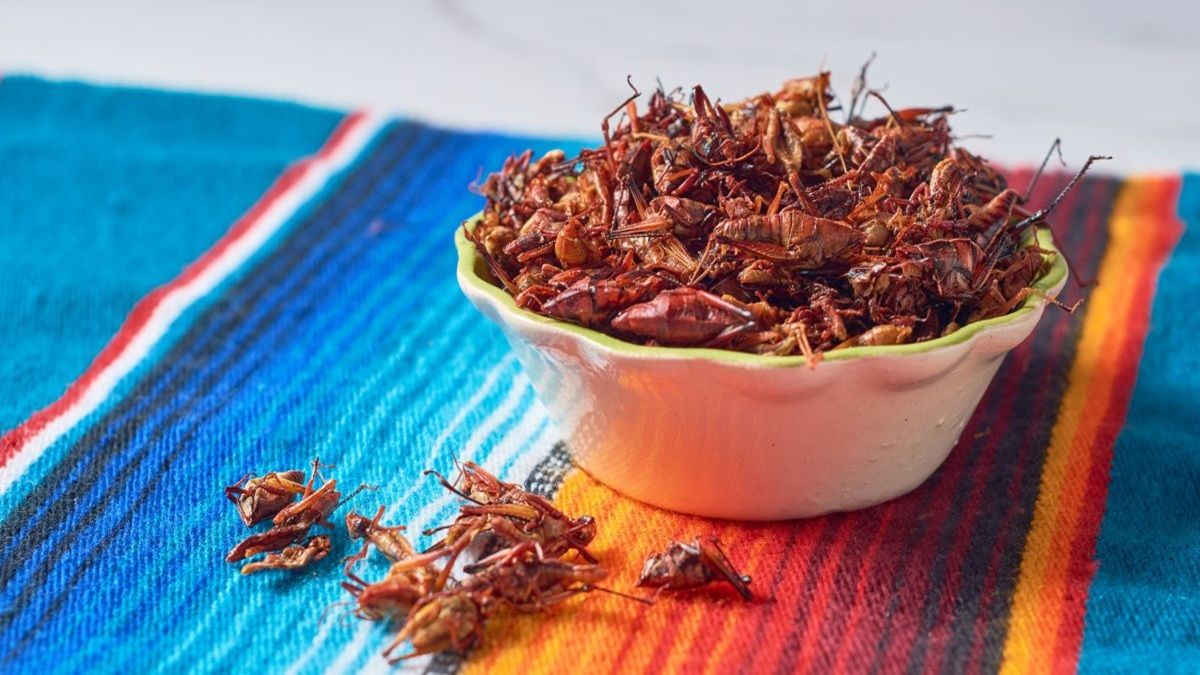 Descubre la gastronomía exótica que puedes encontrar en estos Pueblos Mágicos.&nbsp;