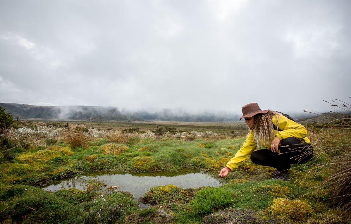 La Ruta del Agua, un paraíso de ecoturismo y conservación en Guavio, Cundinamarca.
