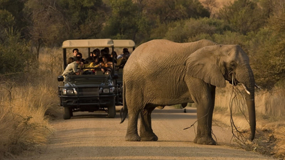 El hermoso y poco conocido parque de safaris en Sudáfrica