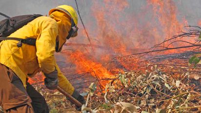 Región de Ñuble: las viñas afectadas por los incendios