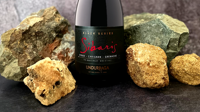 ¿Cuál es el mejor vino de 2022 según Catad'Or?