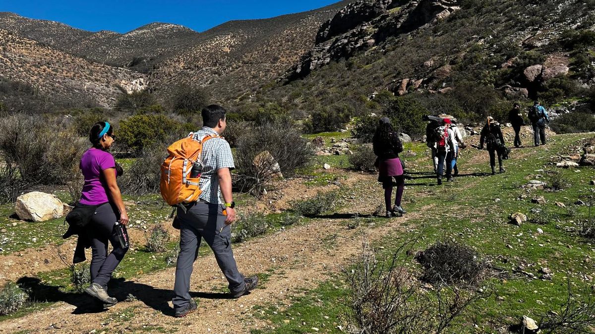 Federación Gremial Chilena de Guías de Turismo (Feguitur) lamentó precariedad en oferta laboral viralizada en el sector. (Foto referencial).
