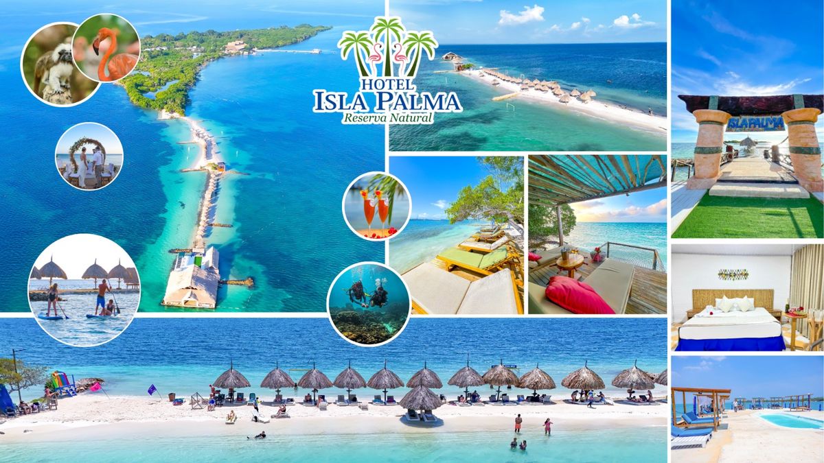 Hotel Isla Palma se promovió en los Ladevi Workshop. Hotel Isla Palma se promovió en los Ladevi Workshop.