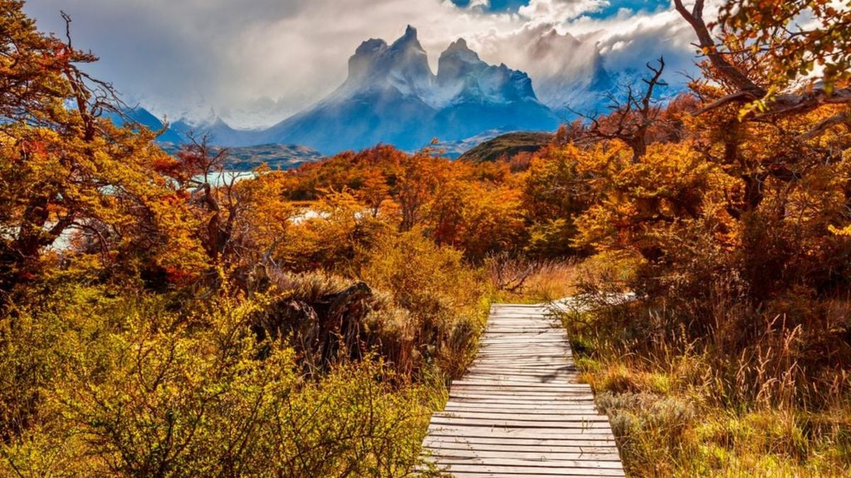 Conaf decidió aplazar el alza de tarifas en Torres del Paine frente a las críticas.&nbsp;