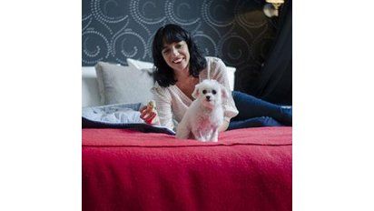 Programa pet friendly para los huéspedes