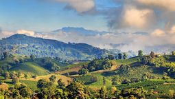 Descubrí el increíble Paisaje Cultural Cafetero de Colombia, declarado Patrimonio de la Humanidad.&nbsp;