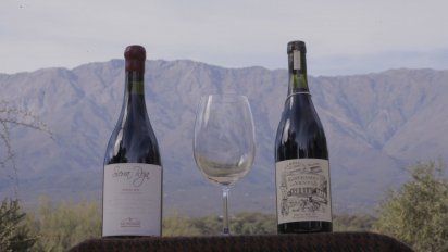 Capacitación para profesionales: Caminos del Vino de Córdoba