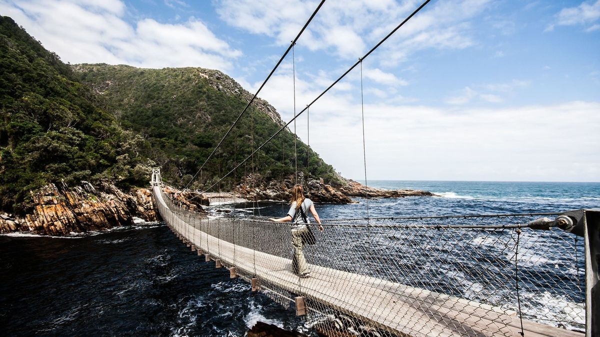 Vacaciones en África: el puente colgante sobre el río Storms es uno de los mayor atractivo del Parque Nacional Tsitsikamma.