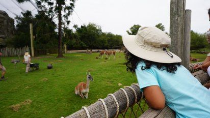 Temaikèn en primavera: descubrí el secreto 