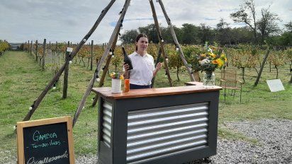 Viñedos, vendimia y bodega a menos de una hora de Buenos Aires