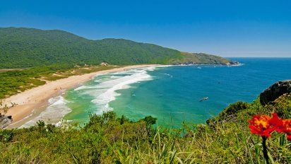 Florianópolis se distingue por sus increíbles playas.